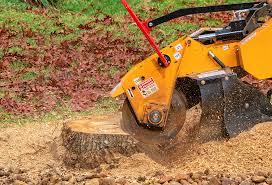 Best Seasonal Cleanup (Spring/Fall)  in Buffalo, WY