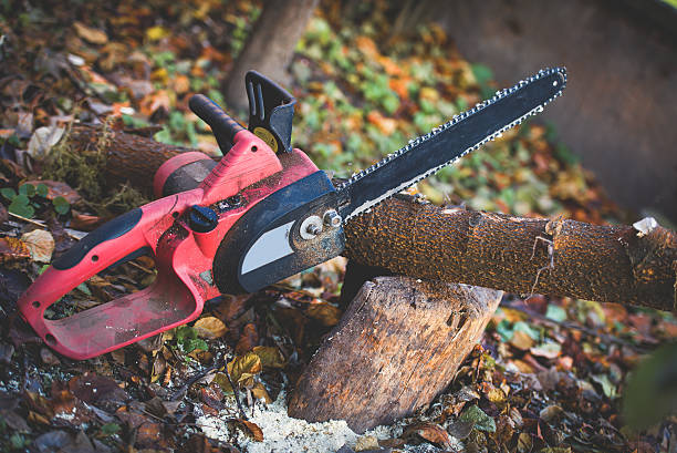 Best Lawn Watering Services  in Buffalo, WY